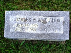 Charles William Ameigh Jr.