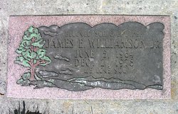James E. Williamson Jr.