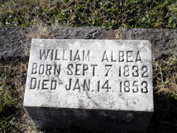 William Albea 