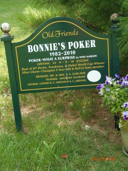 Bonnie's Poker 
