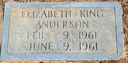 Elizabeth King Anderson 