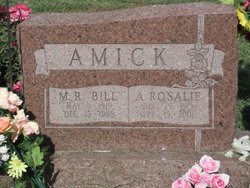 Alice Rosalie <I>McGovern</I> Amick 
