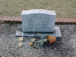 Joel Taylor Adamson 