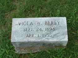 Viola <I>Westfield</I> Berry 