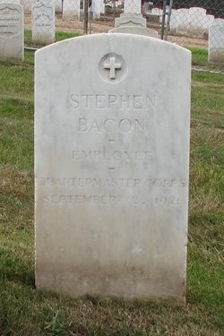 Stephen J Bacon 