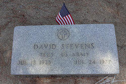 David Earl Stevens 