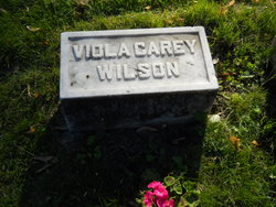 Viola <I>Carey</I> Wilson 