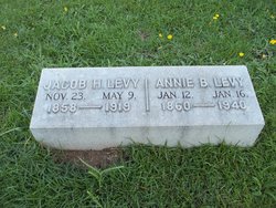 Annie J. <I>Brown</I> Levy 