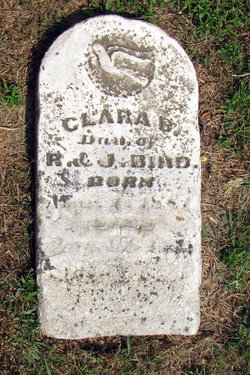 Clara B Bird 