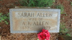Sarah Emeline <I>Chastain</I> Allen 