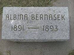 Albina Bernasek 