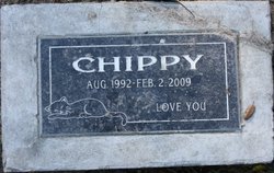 Chippy 