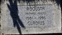 Augusta Gladius Pet 