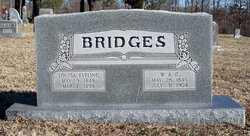 William Bridges 