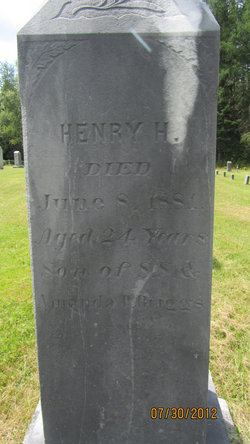 Henry H Briggs 