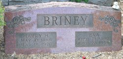Harry Henry Briney 