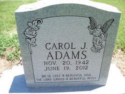 Carol J <I>Tippen</I> Adams 