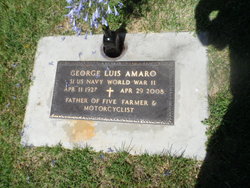 George Luis Amaro 