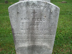 Ann Field 
