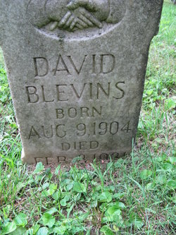 David Blevins 