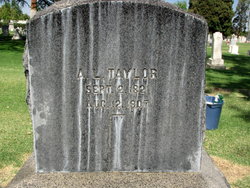 A J Taylor 