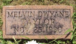 Melvin Dwayne Taylor 