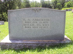Mary Ann “Mollie” <I>Yost</I> Anderson 