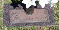 David Lee Carrier 