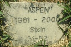 “Aspen” Stein 