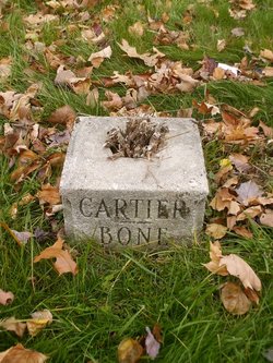 <I>Bone</I> Cartier 