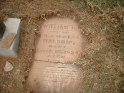 William P. Waldrip 
