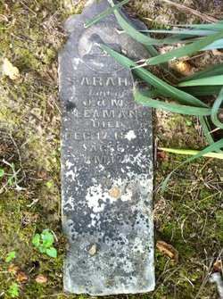 Sarah A. Leaman 