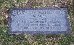 Audrey Ann <I>Walters</I> Busch 
