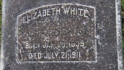 Sarah Elizabeth <I>White</I> Robertson 