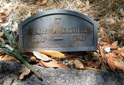 Henry P Andrieux 