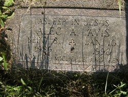Alec A. Avis 