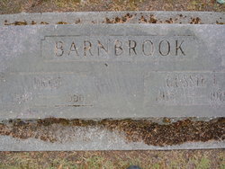 Fred Barnbrook 