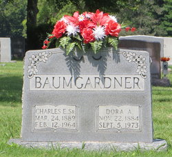 Charles E. Baumgardner Sr.
