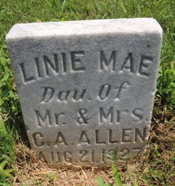 Linie Mae Allen 