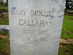 Mary Savannah “Mollie” <I>Coleman</I> Callahan 