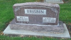 Albert E. Brisbin 
