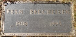 Viola Fern Brecheisen 