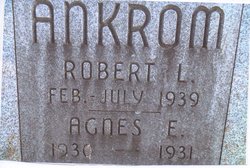 Robert L. Ankrom 