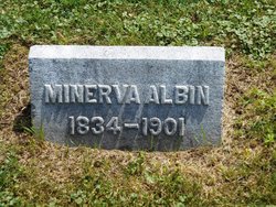 Minerva Albin 