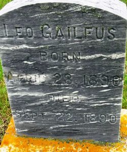 Leo Gailfus 