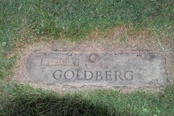 Allen J. Goldberg 