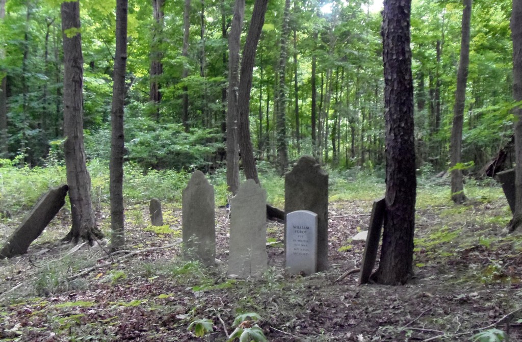 Old Ovid Village Cemetery