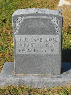 Lotus <I>Lamb</I> Adams 