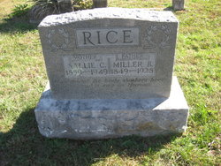 Miller Berry Rice 