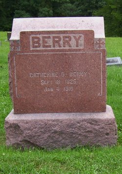 Catherine Dill <I>Capwell</I> Berry 